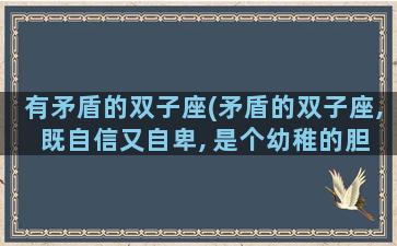 有矛盾的双子座(矛盾的双子座, 既自信又自卑, 是个幼稚的胆小鬼)